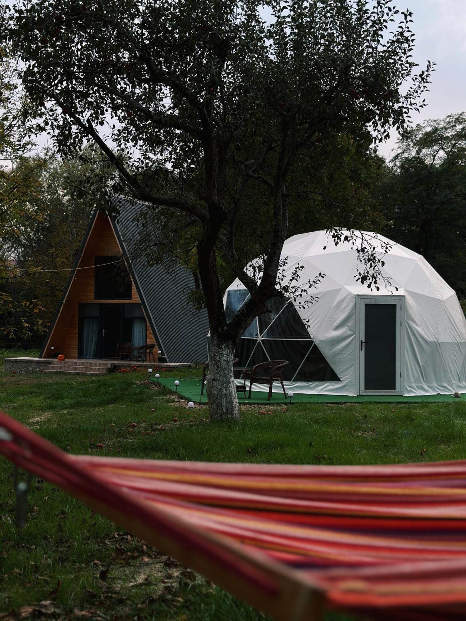 Hotel The Frog Glamping Horezu Exterior foto
