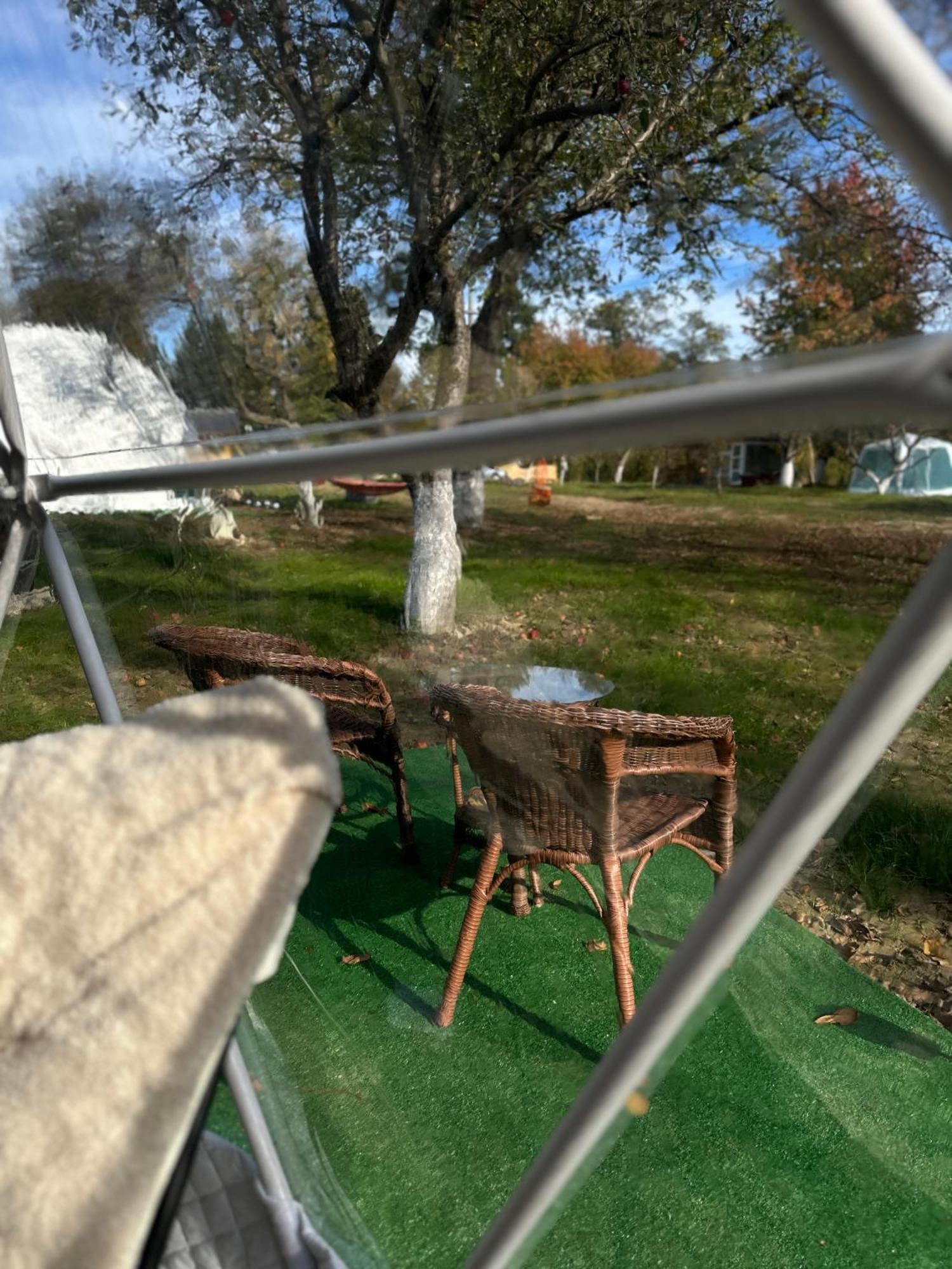 Hotel The Frog Glamping Horezu Exterior foto