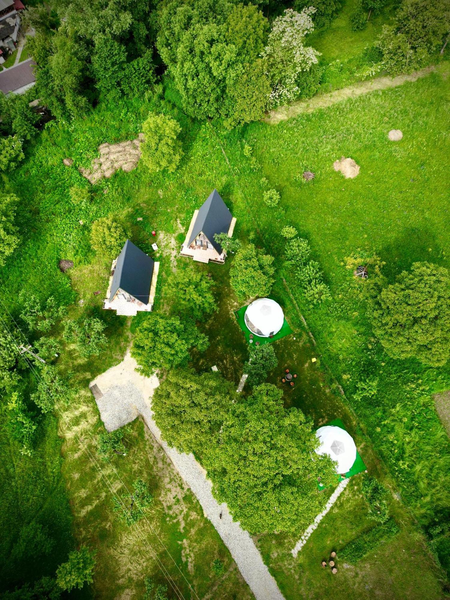 Hotel The Frog Glamping Horezu Exterior foto