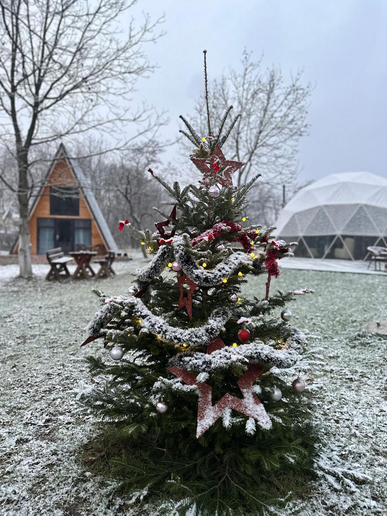 Hotel The Frog Glamping Horezu Exterior foto