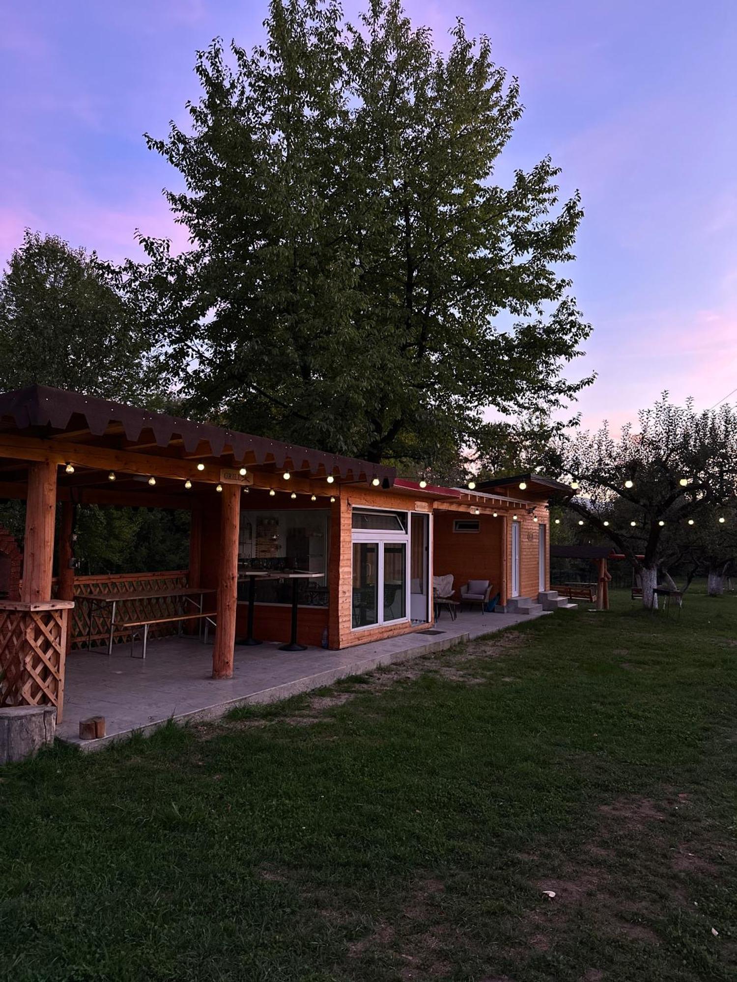 Hotel The Frog Glamping Horezu Exterior foto